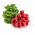 Red Radishes – 1 Bunch