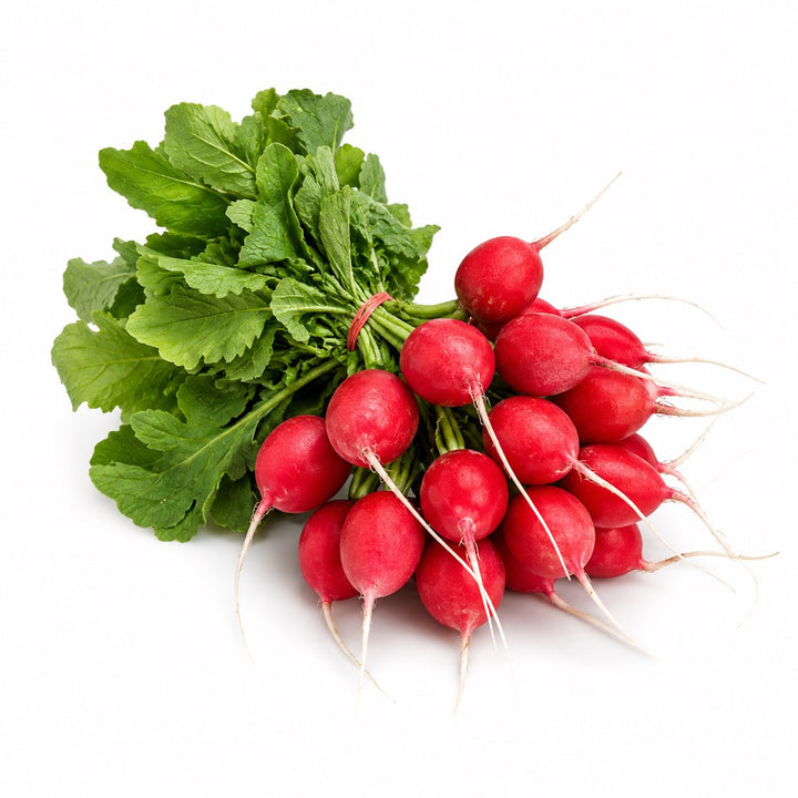 Red Radishes – 1 Bunch