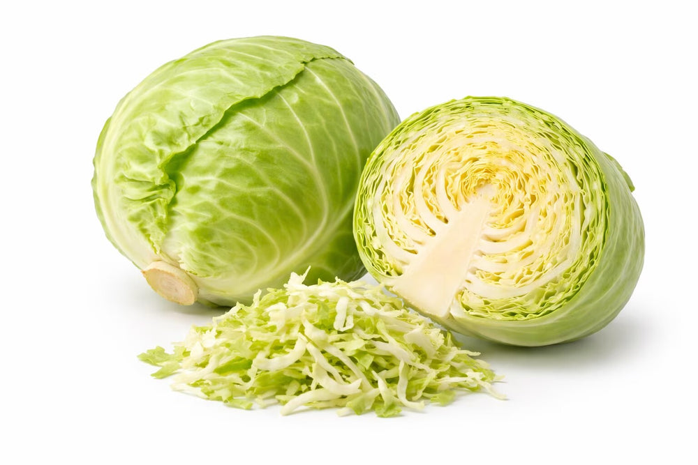 Cabbage - 1 Head