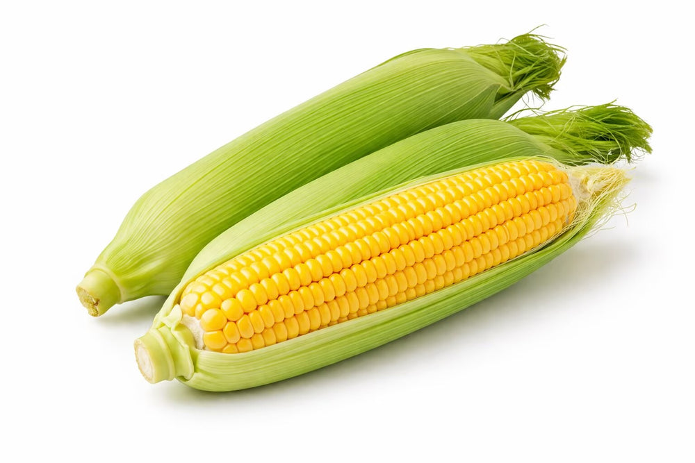 Sweet Corn - 1 Ear