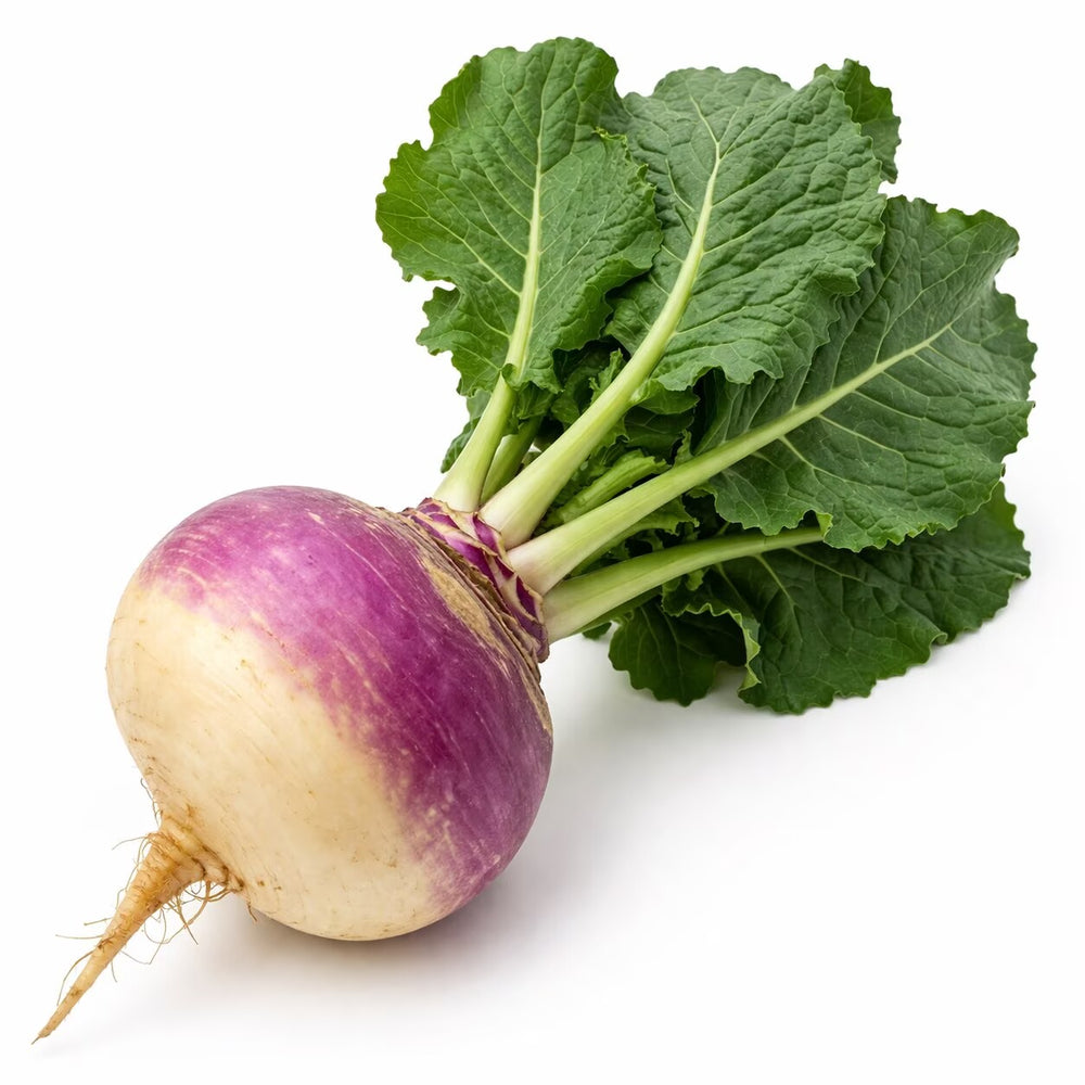 Turnips - 1 Each