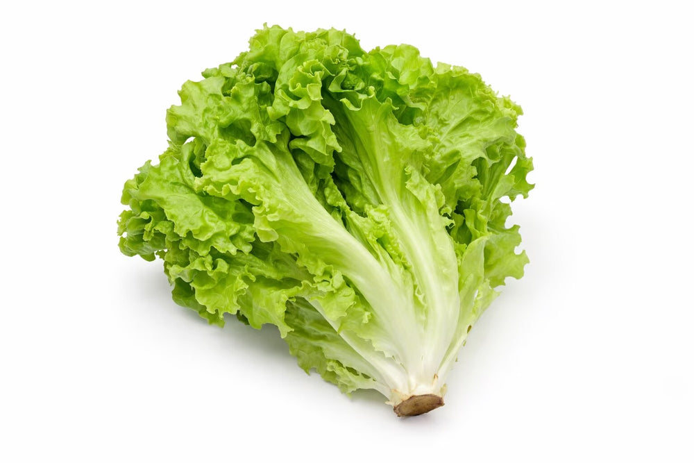 Lettuce- 1 Head