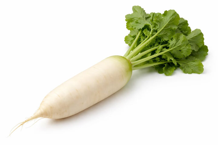 Daikon Radish - 1 lb