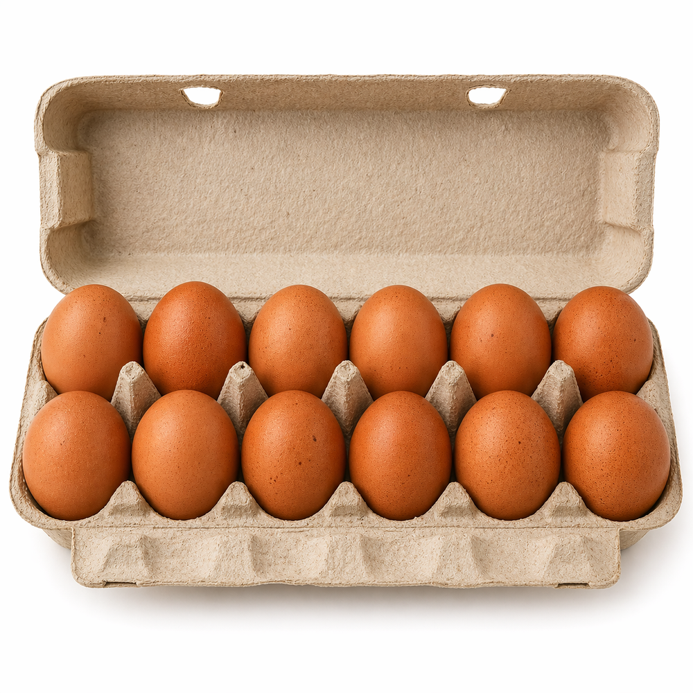 Pasture-Raised Extra-Large Brown Eggs – 1 Dozen