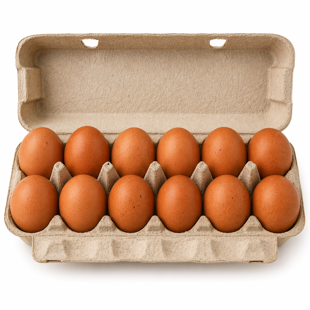 Pasture-Raised Extra-Large Brown Eggs – 1 Dozen