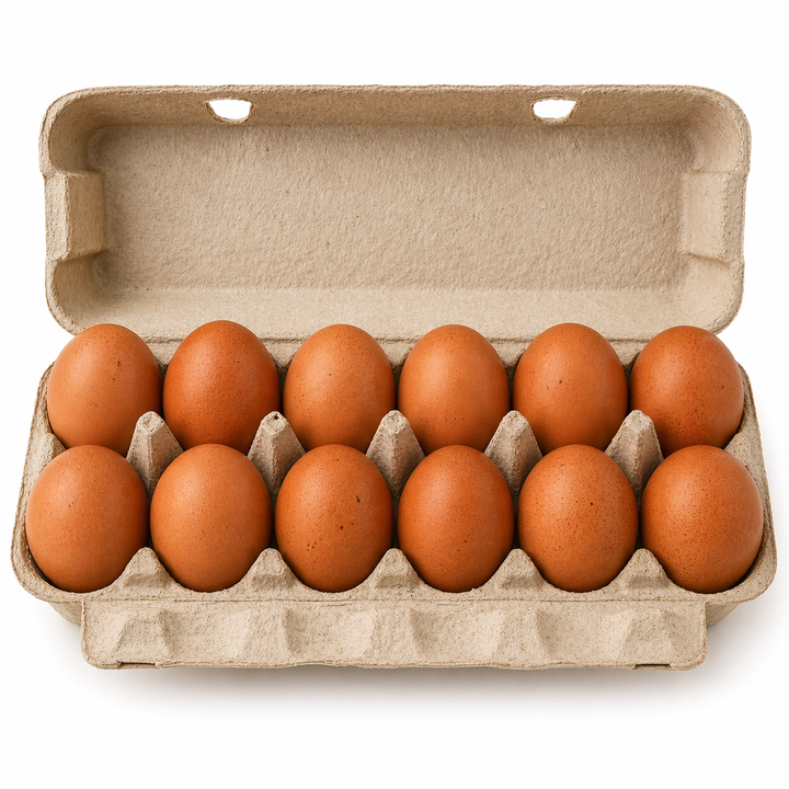 Pasture-Raised Extra-Large Brown Eggs – 1 Dozen