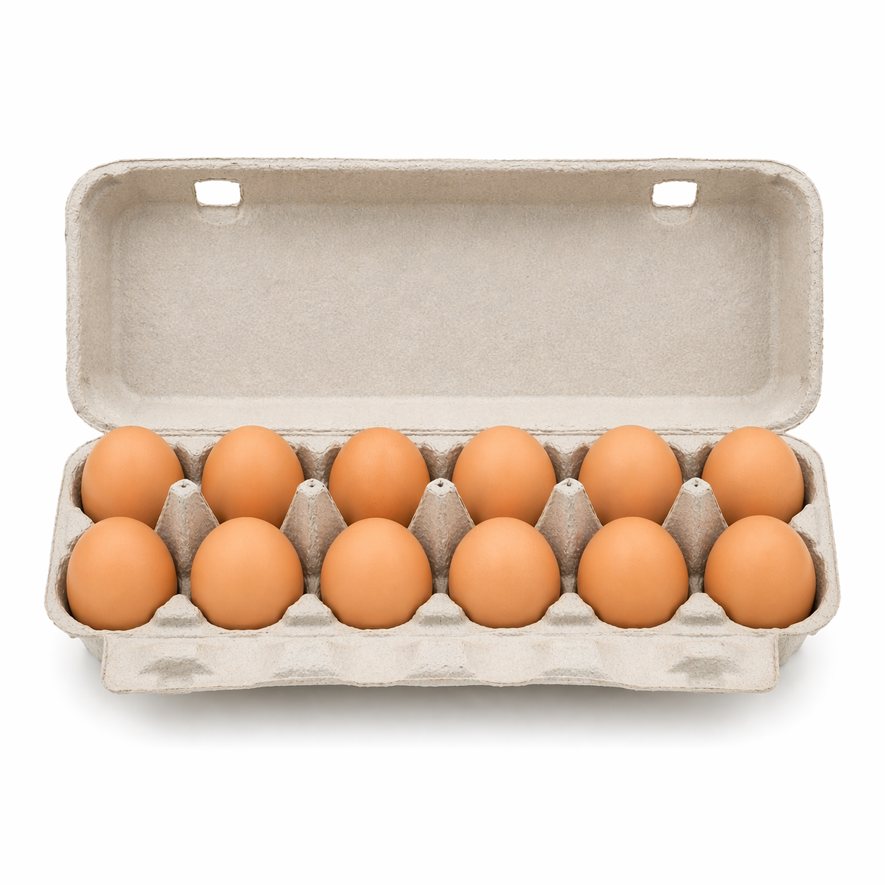 Pasture-Raised Eggs – 1 Dozen