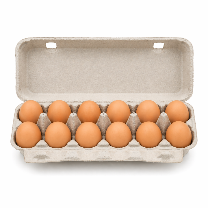 Pasture-Raised Eggs – 1 Dozen