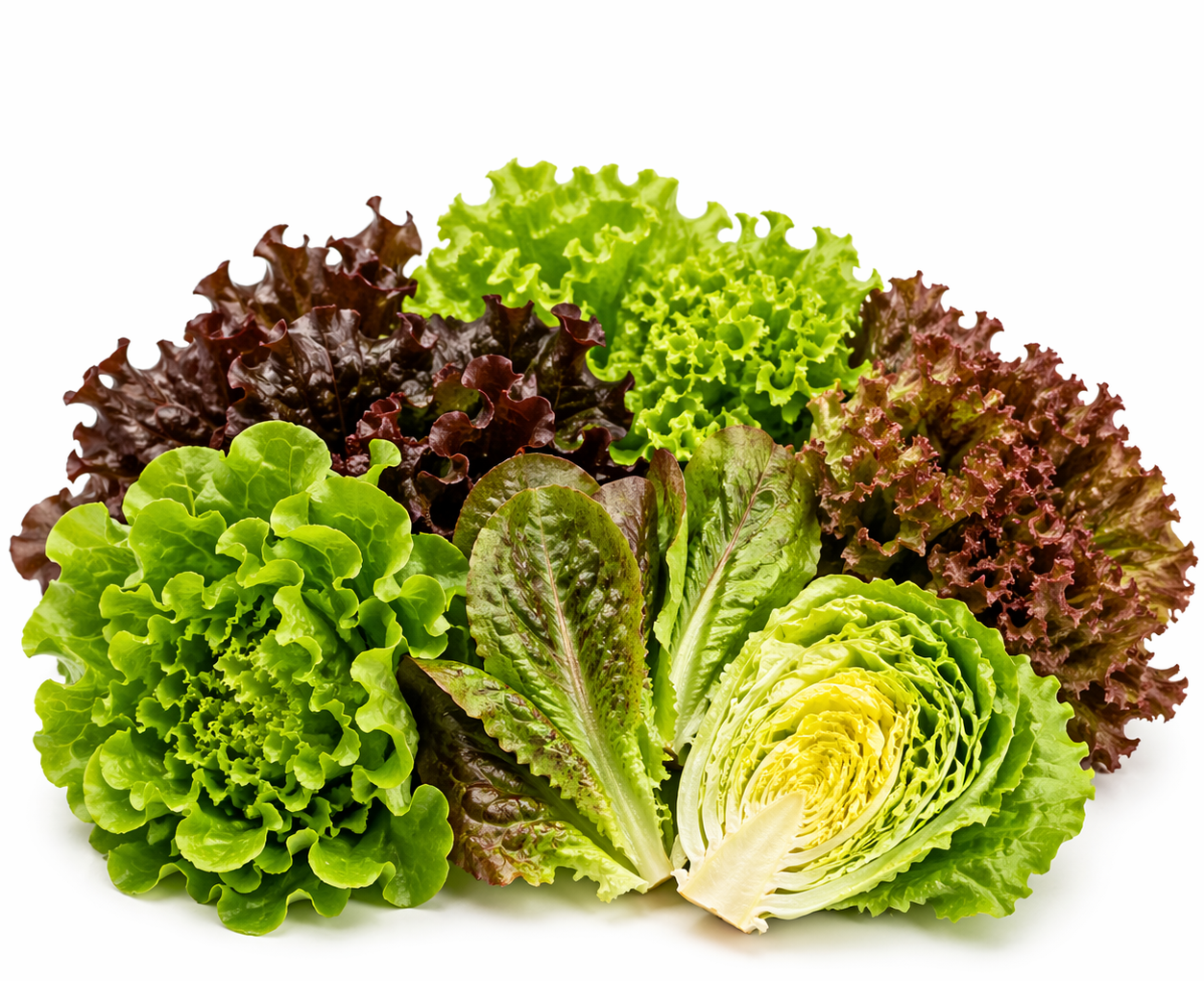 Lettuce Leaf - 1 Head