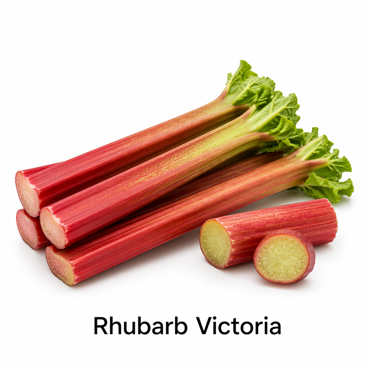 Rhubarb - 1 LB