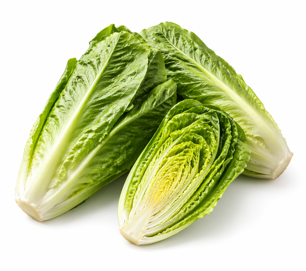 Lettuce Romaine - 1 Head