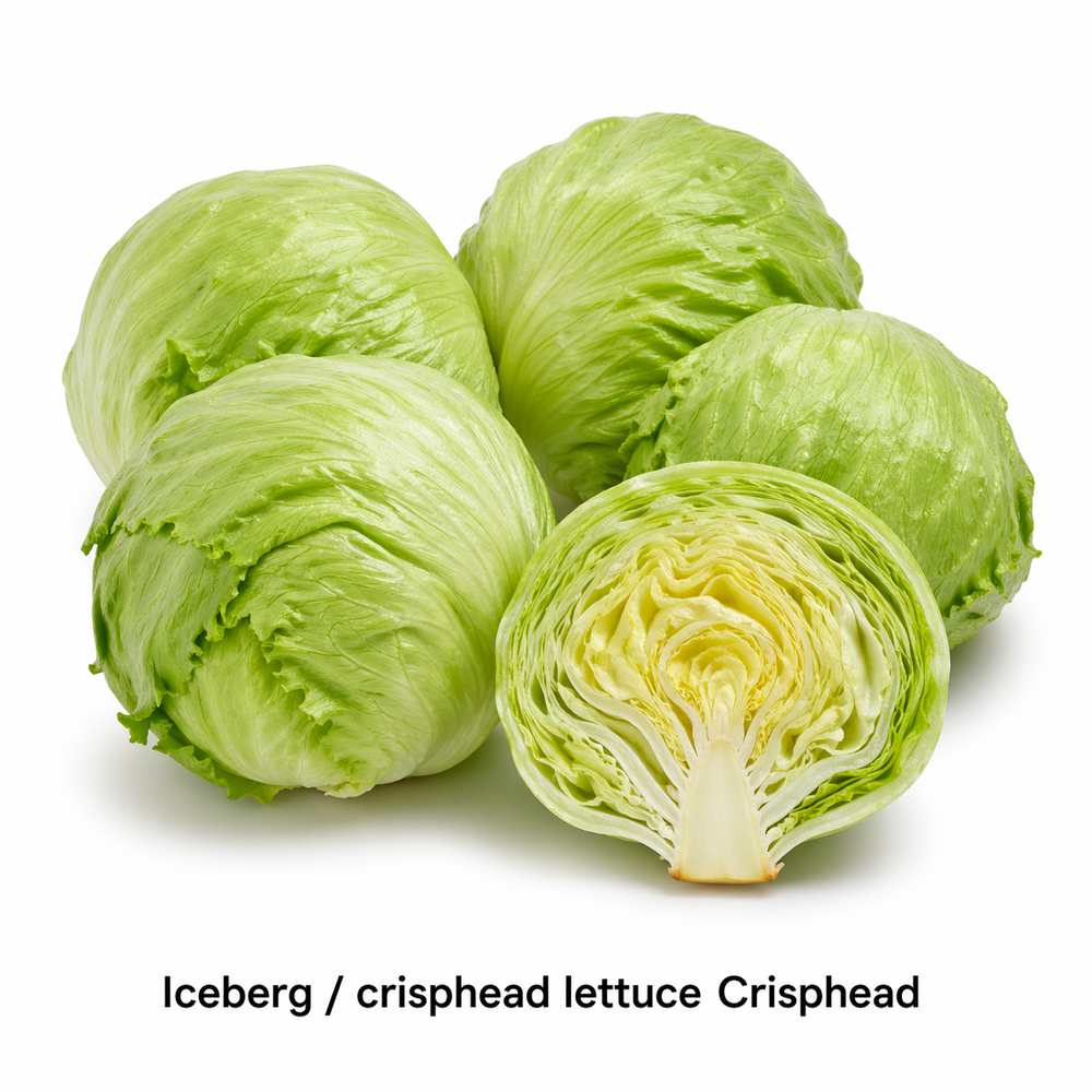 Iceberg Lettuce - 1 Head