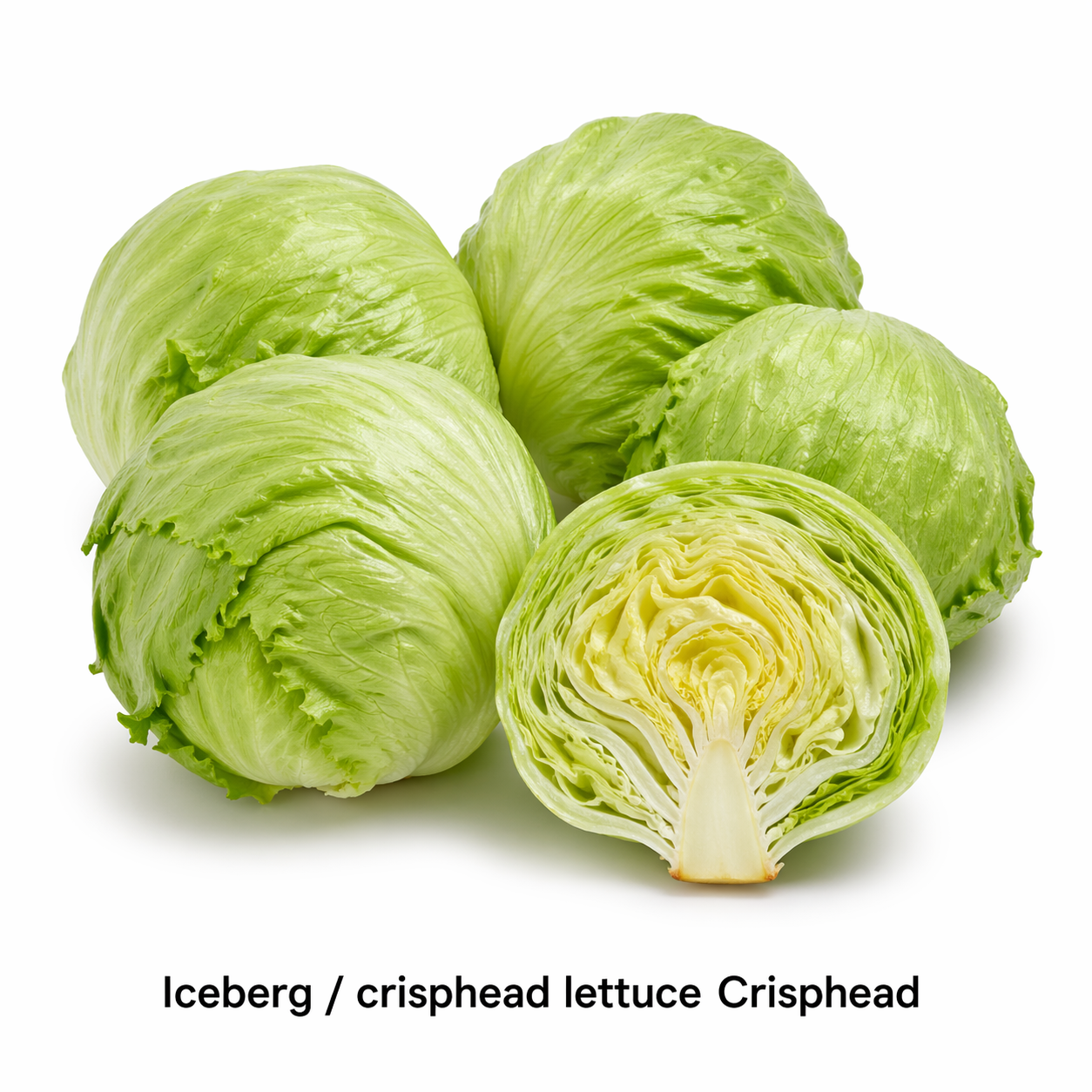 Iceberg Lettuce - 1 Head