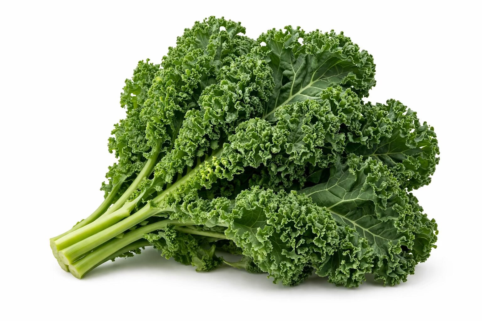 Kale - 1 Bunch